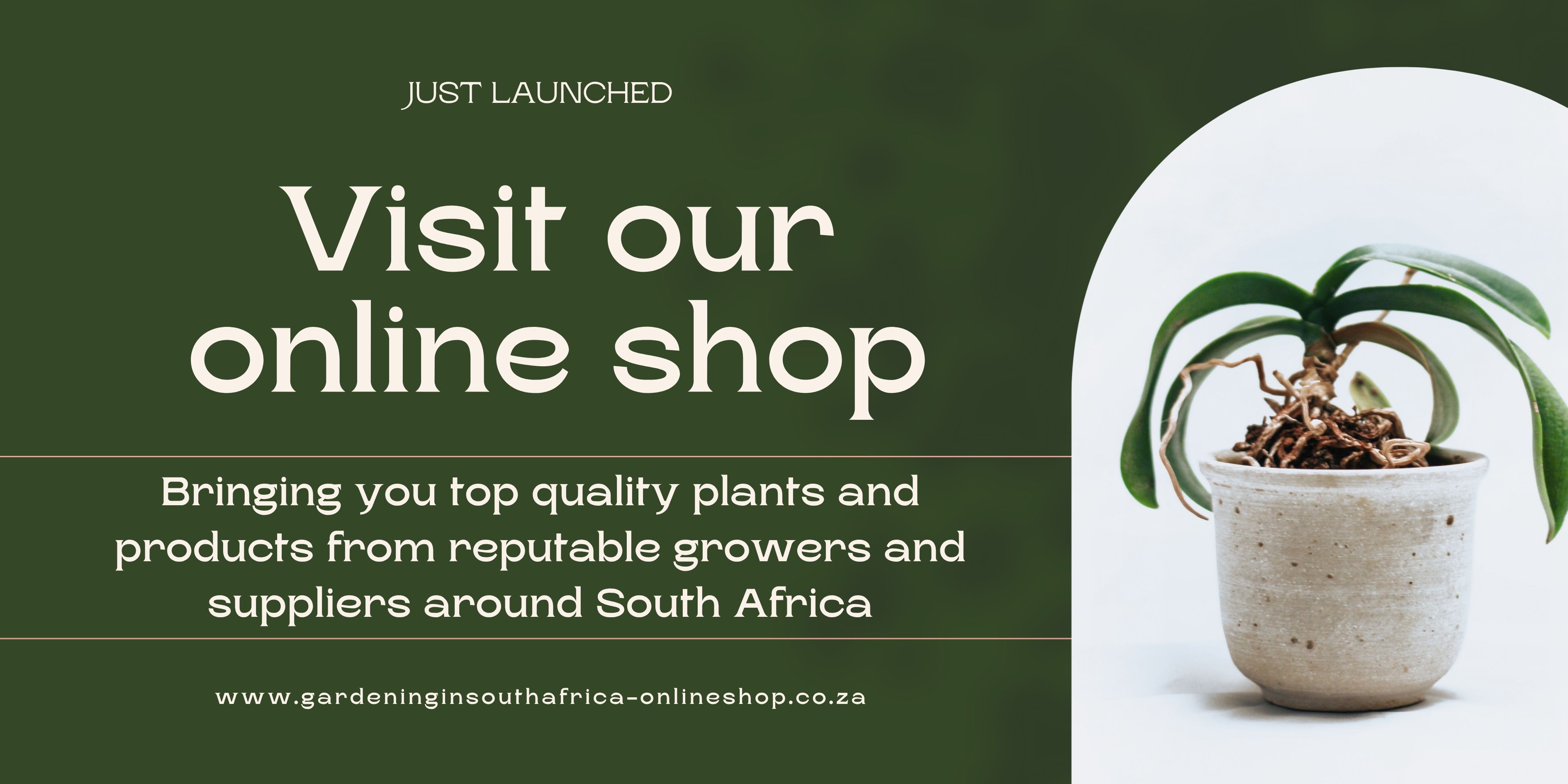 Shop