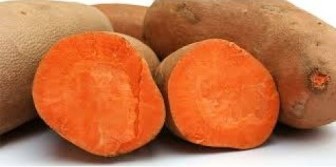 Sweet Potato 'Bophelo' Picture courtesy Livingseeds