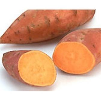 Sweet Potato 'IPC Yellow' Picture courtesy Livingseeds