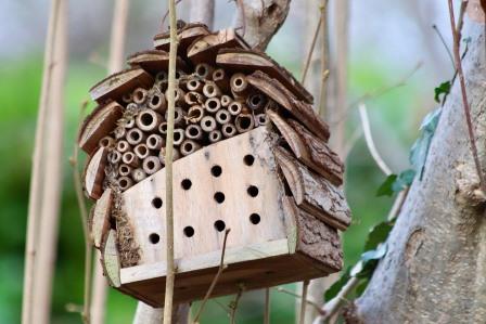Bee Hotel Image by Annette Meyer from Pixabay