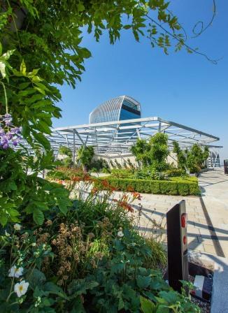 London Rooftop Garden Image by Frank Nürnberger from Pixabay