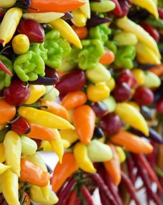 Chilli Peppers Image by MiZie from Pixabay