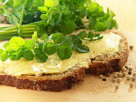 Watercress Sandwich Image by Silvia from Pixabay