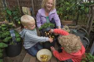 Growing vegetables &amp; herbs in containers