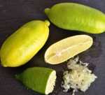 Finger Lime, Caviar Lime - Citrus
