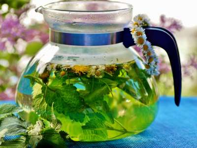 Handy herb list for first aid