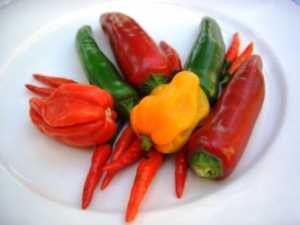 Know your chillies heat and taste