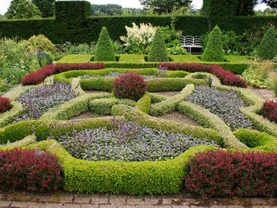 Small &amp; medium-sized plants for hedges &amp; screens