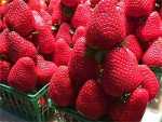 Strawberry, Aarbei, ijikijolo - Fragaria