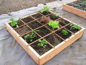 Square Foot Vegetable Gardening